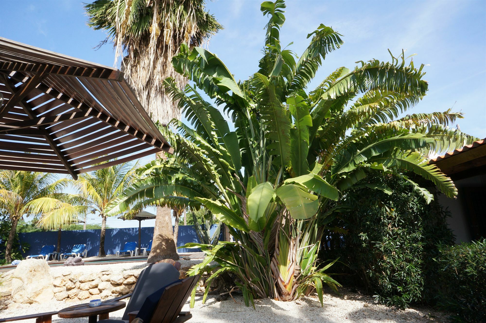 Caribbean Chillout Apartments Кралендейк Экстерьер фото
